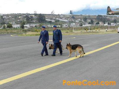 Centro de Desarrollo e Investigación de la FAE
