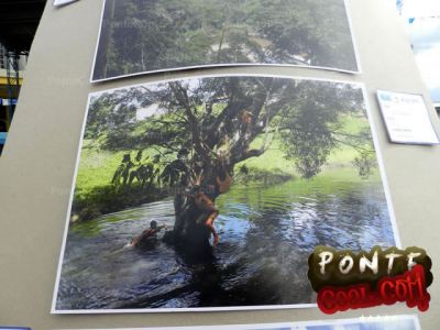 Invitación del Municipio del Puyo a PonteCool.com jurado de concurso de fotografía
