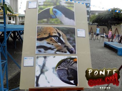 Invitación del Municipio del Puyo a PonteCool.com jurado de concurso de fotografía
